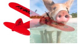 Piper J-3 CUB 2.4GHz RTF (rozpiętość 34cm) - czerwony