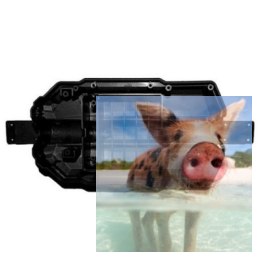 Podwozie