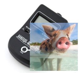 Q-Model obrotomierz cyfrowy