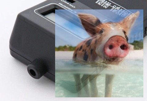 Q-Model obrotomierz cyfrowy