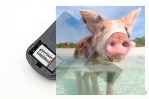 Q-Model obrotomierz cyfrowy