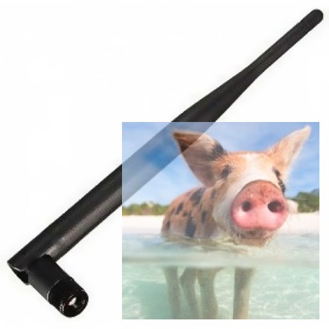 R9M TX module antenna R9M TX module antenna