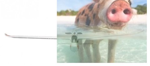 Samolot F959 Fly King 3CH 2.4GHz RTF - czerwony Samolot F959 Fly King 3CH 2.4GHz RTF - czerwony