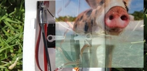 Sky Surfer 2.4GHz RTF (elektroszybowiec, rozpiętość 140cm, silnik bezszczotkowy) - Czerwony