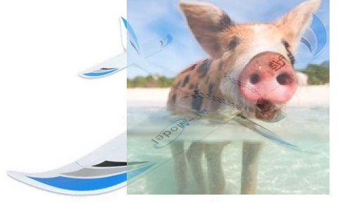 Sky Surfer 2.4GHz RTF (elektroszybowiec, rozpiętość 140cm, silnik bezszczotkowy) - Niebieski