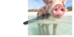 Śmigło ogona - S009-10