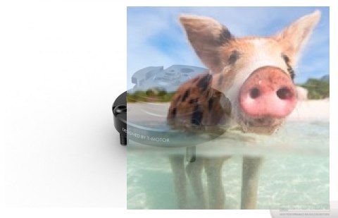 Szybkozłączka do śmigieł T-Motor 26-34" 2szt.