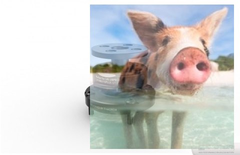 Szybkozłączka do śmigieł T-Motor 26-34" 2szt.