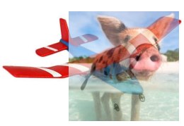 Szybowiec Fly Bear 2.4GHz RTF (rozpiętość 31cm) - czerwony