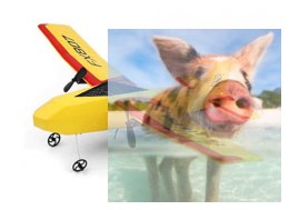 Szybowiec Fly Bear 2.4GHz RTF (rozpiętość 31cm) - żółty