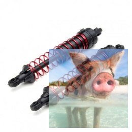 Tylny amortyzator