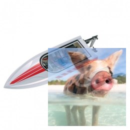 Vector 28 2CH 2.4GHz RTR - Biała