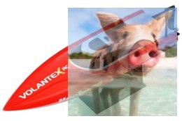 Vector 28 2CH 2.4GHz RTR- Czerwona