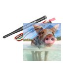 Aomway TX1000 1000mW 5.8GHz 32CH AV TX RaceBand