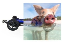 Buggy High-Speed Racing Car 2WD - Niebieski