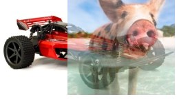 Buggy High-speed Racing Car 2WD - Czerwony