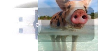 Czytnik kart MicroSD - F183-19