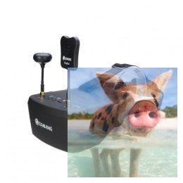 EV800D (5.8GHz, 40CH, 800x480, 5