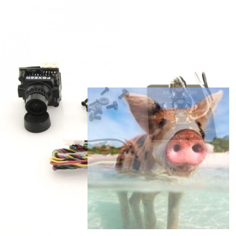 Foxeer Arrow V2 Micro FPV (2.1mm, 600TVL, IR, 5.5g, 150FOV, WDR, 5-35V) Foxeer Arrow V2 Micro FPV (2.1mm, 600TVL, IR, 5.5g, 150FOV, WDR, 5-35V)