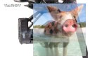 Gimbal TAROT T4-3D profesjonalny 3 osiowy do Gopro