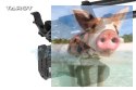 Gimbal Tarot TL2D01 T2-2D profesjonalny 2 osiowy do Gopro