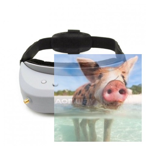 Gogle Aomway Commander V1 3D (5.8GHz, 40CH, 854x480, FOV32, DVR)