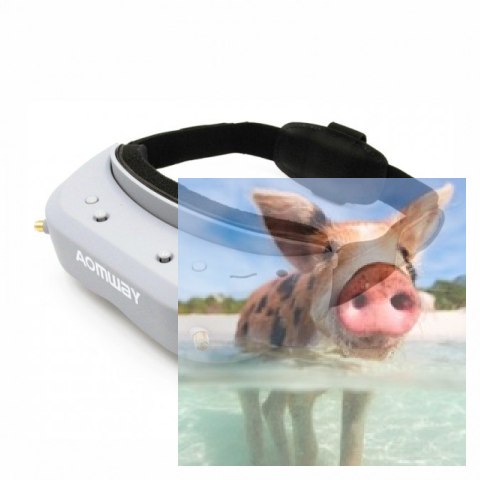 Gogle Aomway Commander V1 3D (5.8GHz, 40CH, 854x480, FOV32, DVR)