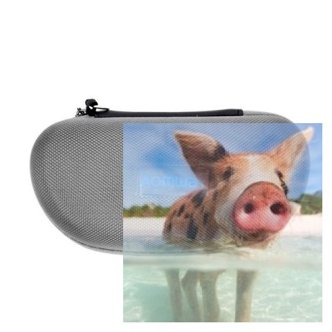 Gogle Aomway Commander V1 3D (5.8GHz, 40CH, 854x480, FOV32, DVR)