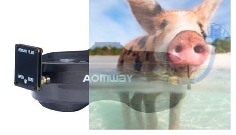 Gogle Aomway Commander V2