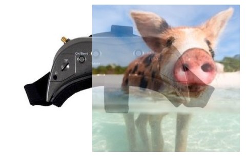 Gogle Aomway Commander V2