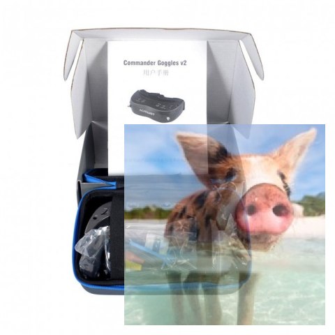 Gogle Aomway Commander V2