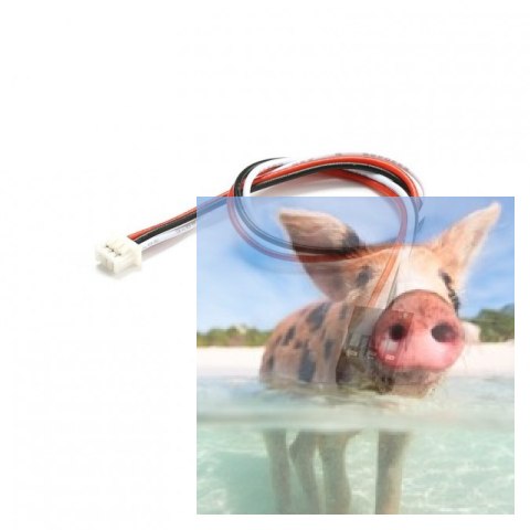 Kamera mini FPV (1000TVL, IR, 110FOV, 5-20V)