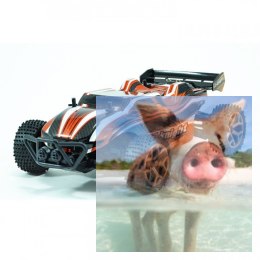 X-Knight 1:18 4CH 2.4GHz RTR - pomarańczowy