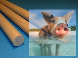 Kołek bukowy Ø20 mm