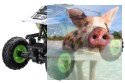 Mini Rock Crawler 1:24 4WD 2.4GHz 4CH RTR