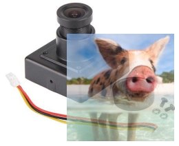 Mini kamera HD 700TVL F210-Z-31B