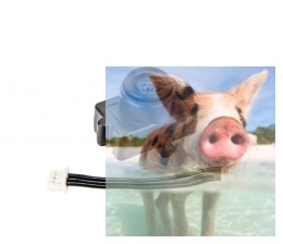 Mini kamera Rodeo 110-Z-17