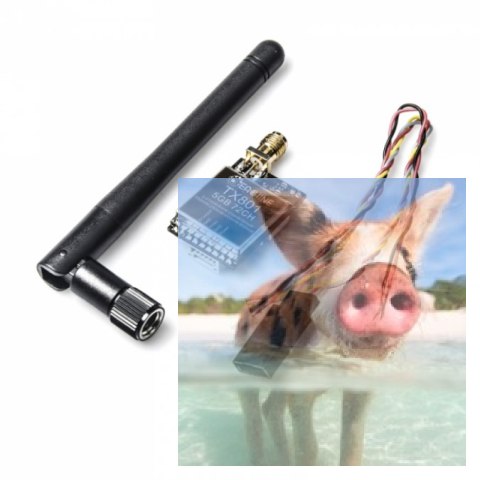 Nadajnik FPV AV TX801 5.8GHz 72CH 0.01-600mW 3.2-5.5V Mikrofon