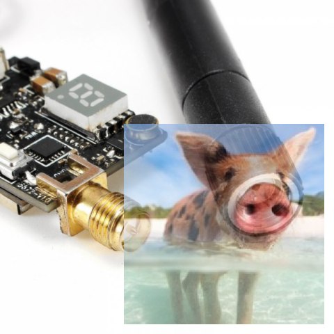 Nadajnik FPV AV TX801 5.8GHz 72CH 0.01-600mW 3.2-5.5V Mikrofon