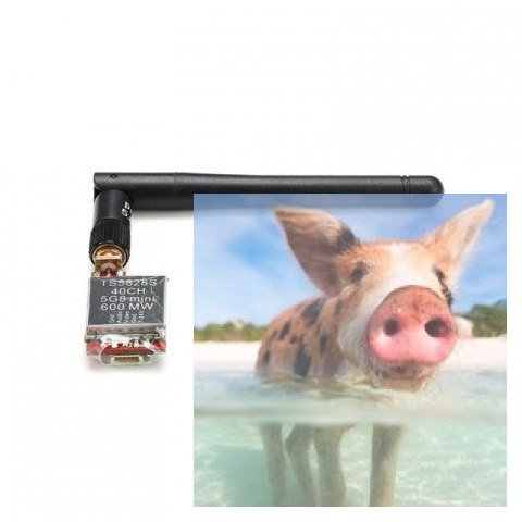 Nadajnik FPV AV TS5828S 5.8GHz 40CH 600mW 7-24V