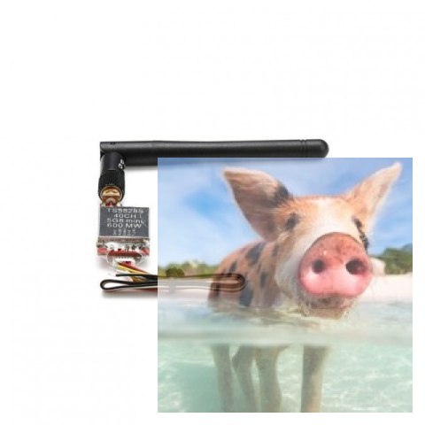 Nadajnik FPV AV TS5828S 5.8GHz 40CH 600mW 7-24V