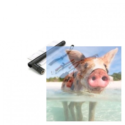 Nadajnik FPV AV TS5828S 5.8GHz 40CH 600mW 7-24V