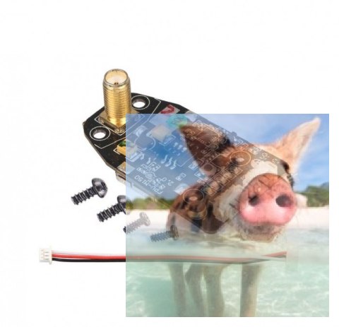 Nadajnik TX5833 (CE) 25mW Rodeo 150-Z-19