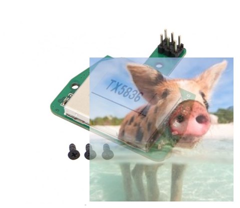Nadajnik TX5836(FCC) Rodeo 110-Z-13