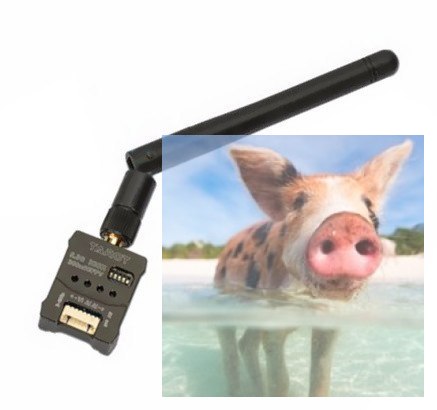 Nadajnik Tarot 5.8GHz 300mW 32CH FPV Audio/Wideo + Antena Nadajnik Tarot 5.8GHz 300mW 32CH FPV Audio/Wideo + Antena