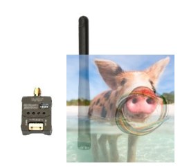 Nadajnik Tarot 5.8GHz 300mW 32CH FPV Audio/Wideo + Antena