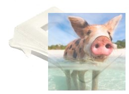 Obudowa ochronna do odbiornika Eachine PRO58