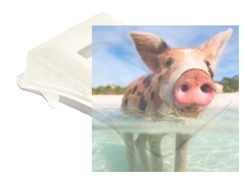 Obudowa ochronna do odbiornika Eachine PRO58