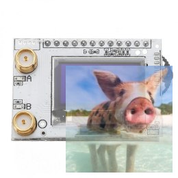 Odbiornik Diversity PRO58 5.8G 40CH OLED do gogli FatShark