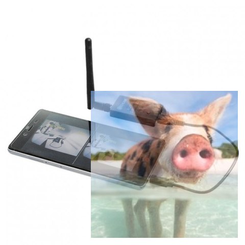 Odbiornik FPV AV do telefonu ROTG01 UVC OTG 5.8GHz 150CH